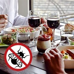 Lampy owadobójcze – i mucha nie siada!