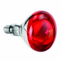 Philips Żarówka grzewcza na podczerwień 0,25 kW